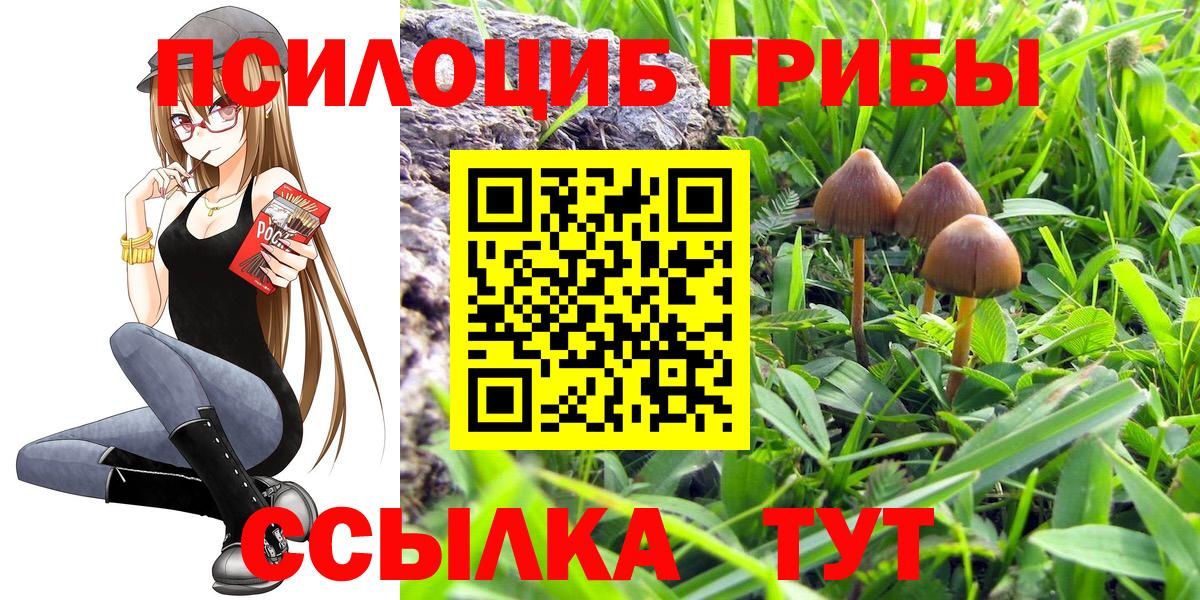 Галлюциногенные грибы Cubensis  Вход с VPN  Галлюциногенные грибы Cubensis  Ишимбай 